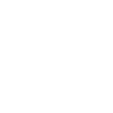 Training and presentation icon