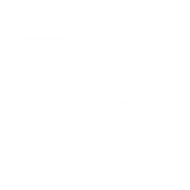 Digital Marketing icon