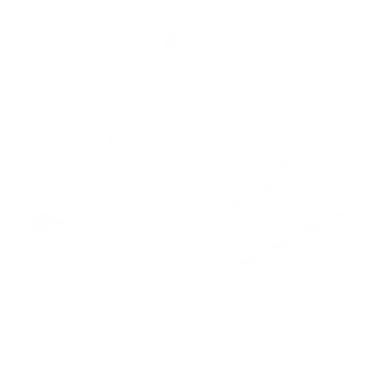 Dev web icon